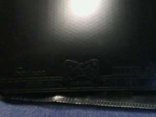 ��һ���׽�-->yanxin270ת��