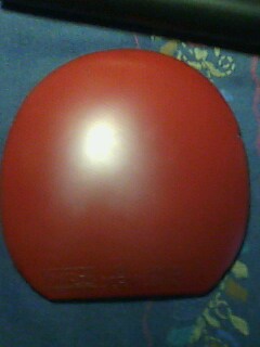 ����̤�׽�-->yanxin270ת��