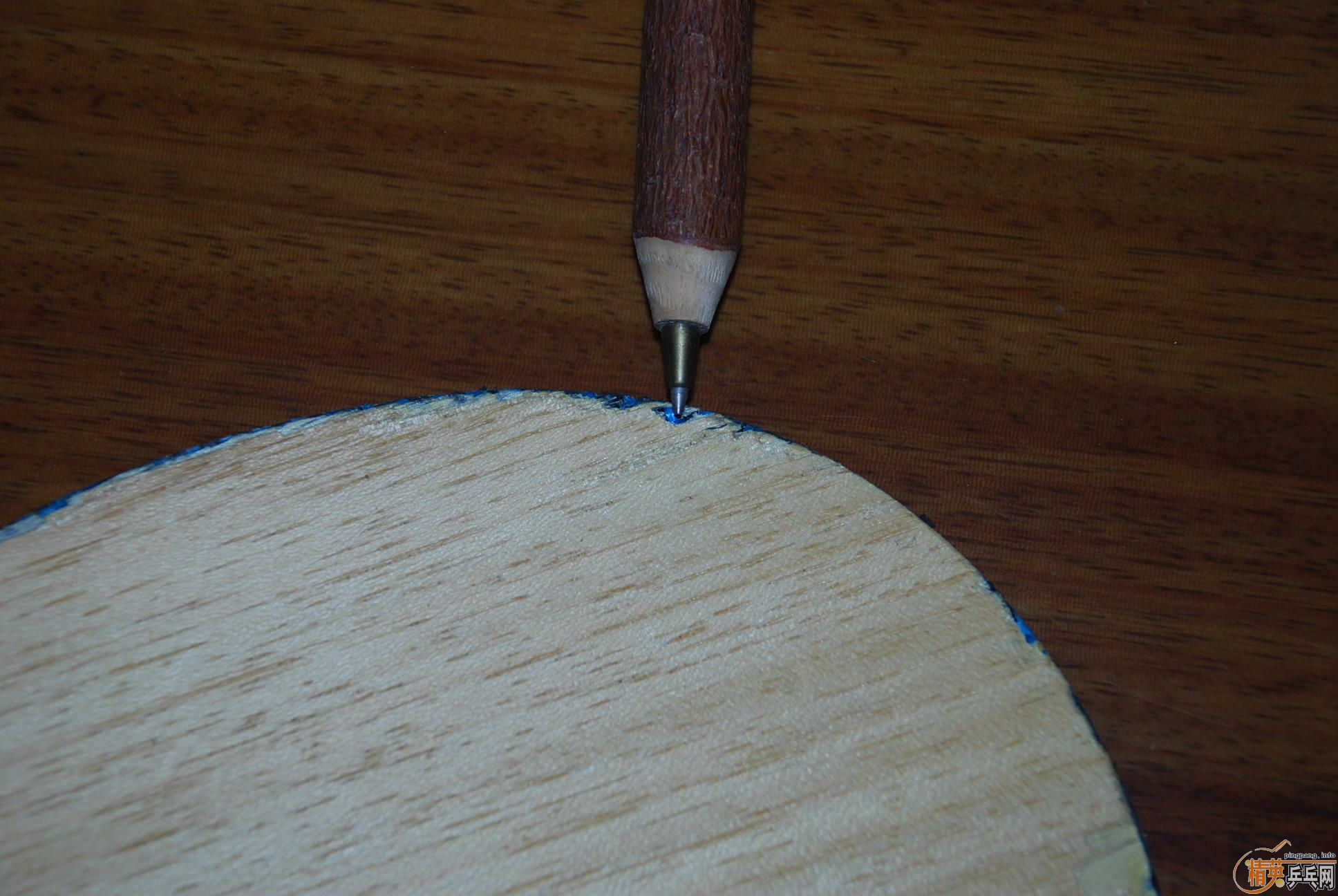 �����ƺ�����