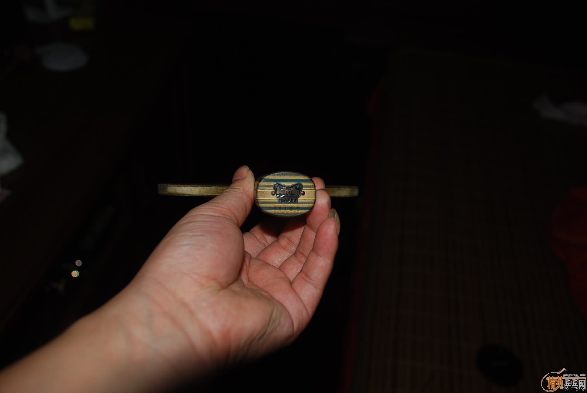 �����ƺ�����