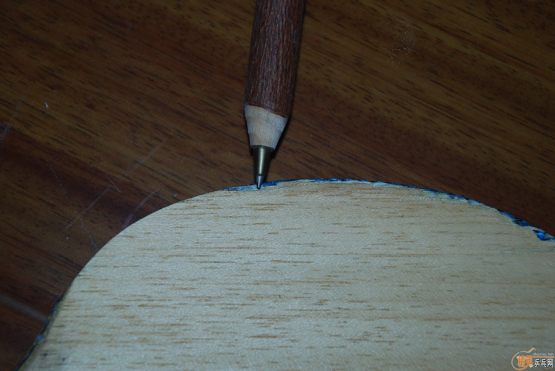 �����ƺ�����