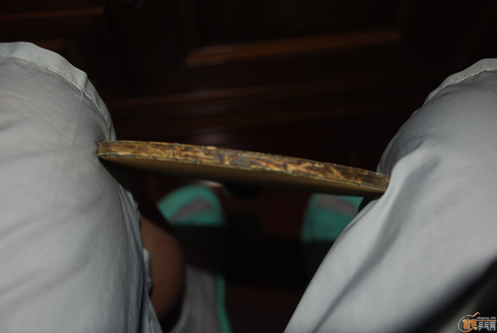 �����ƺ�����