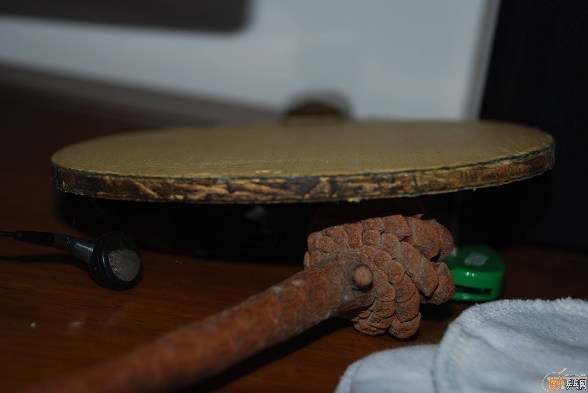 �����ƺ�����