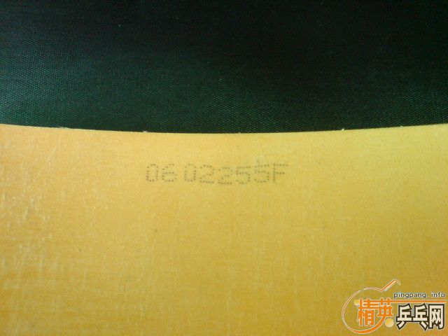 �������˫ϲ����