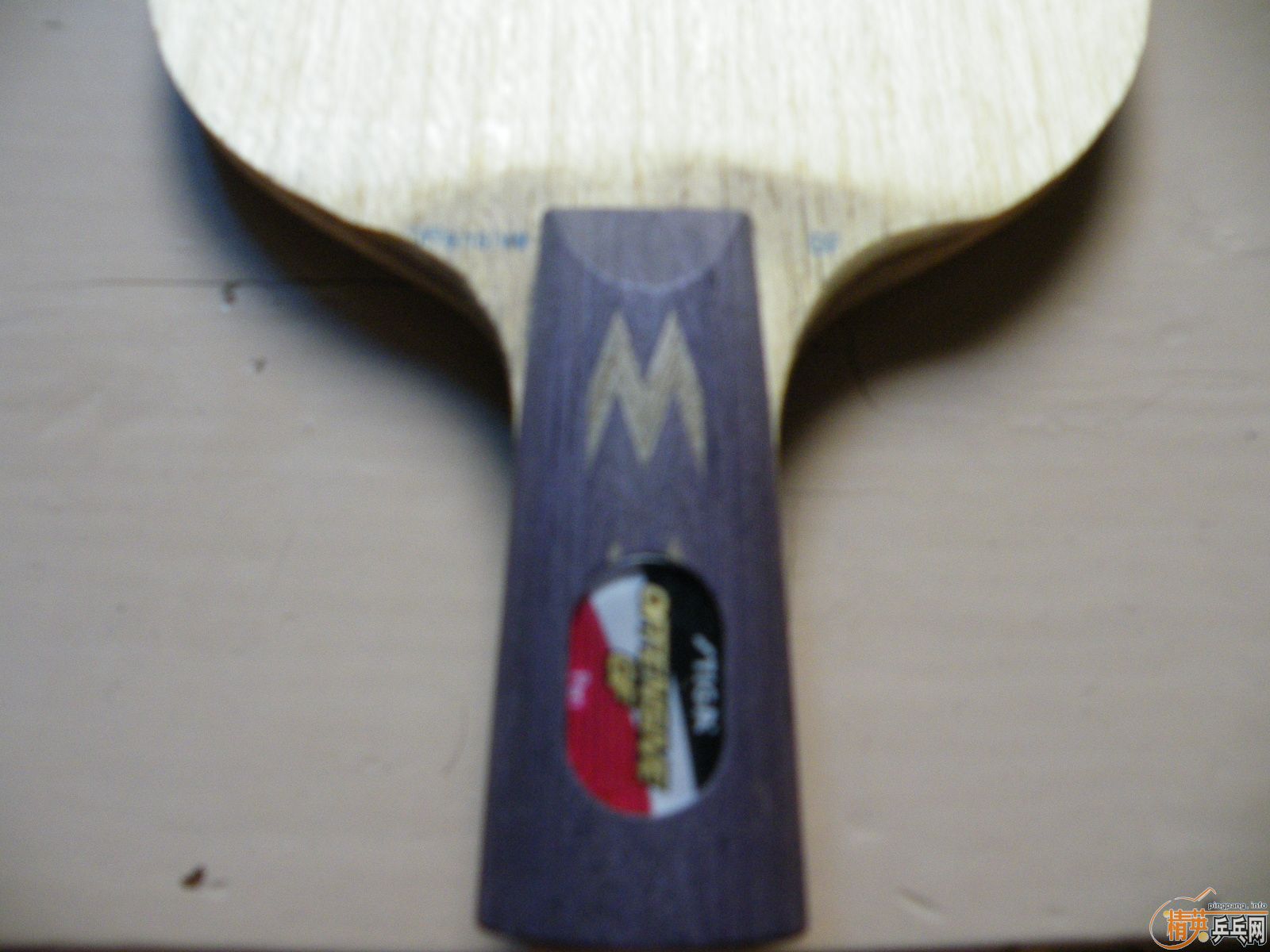 ����˹�ۿ�STIGA������ά-Offensive GF