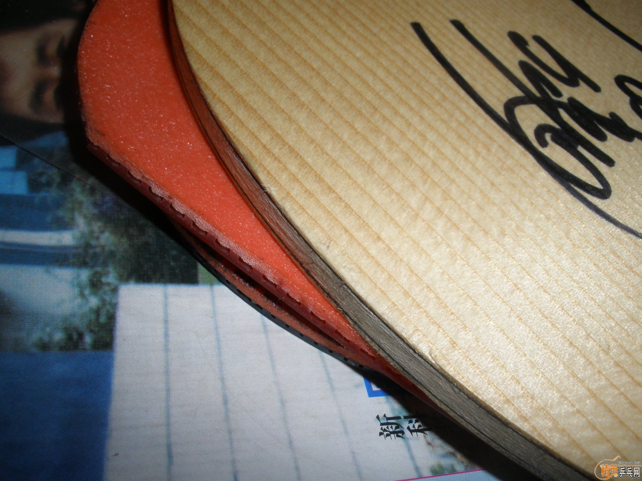 ���µ�ʩ̼ST������