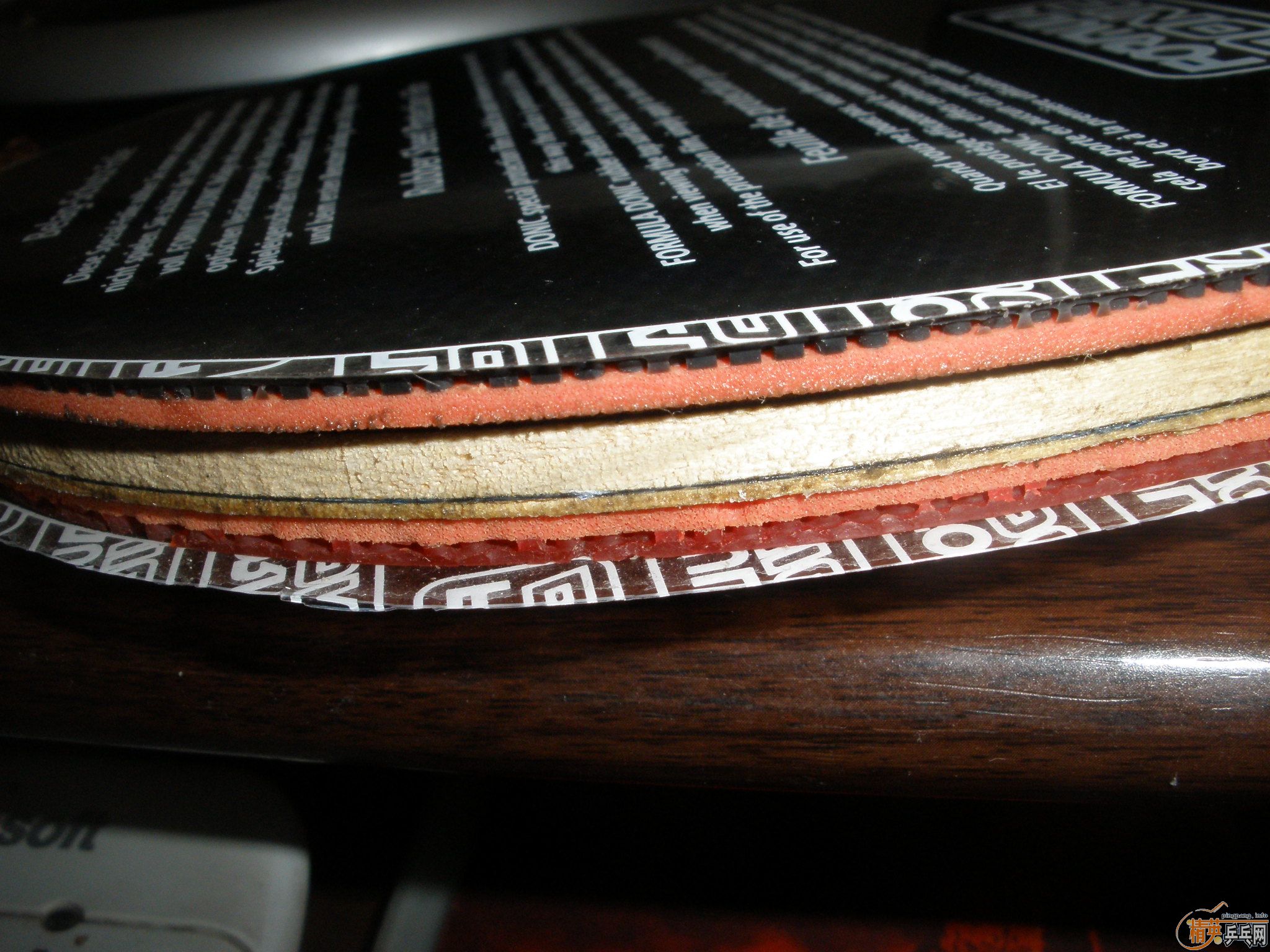 ���µ�ʩ̼ST������