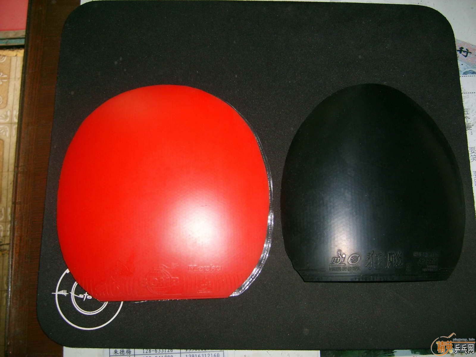 ������speed��һ��δ��ȫ �� ħ�����Ҷ�