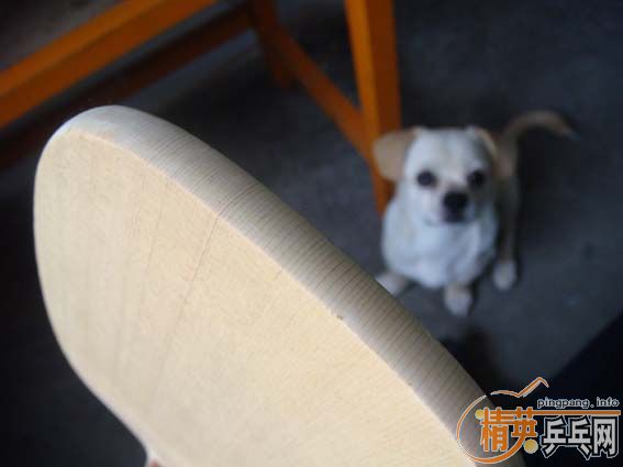 ���70 �غ� 85�� ��95�²���JO �Ӱ��ȸ���֮�� ������ 802 ������650��EMS