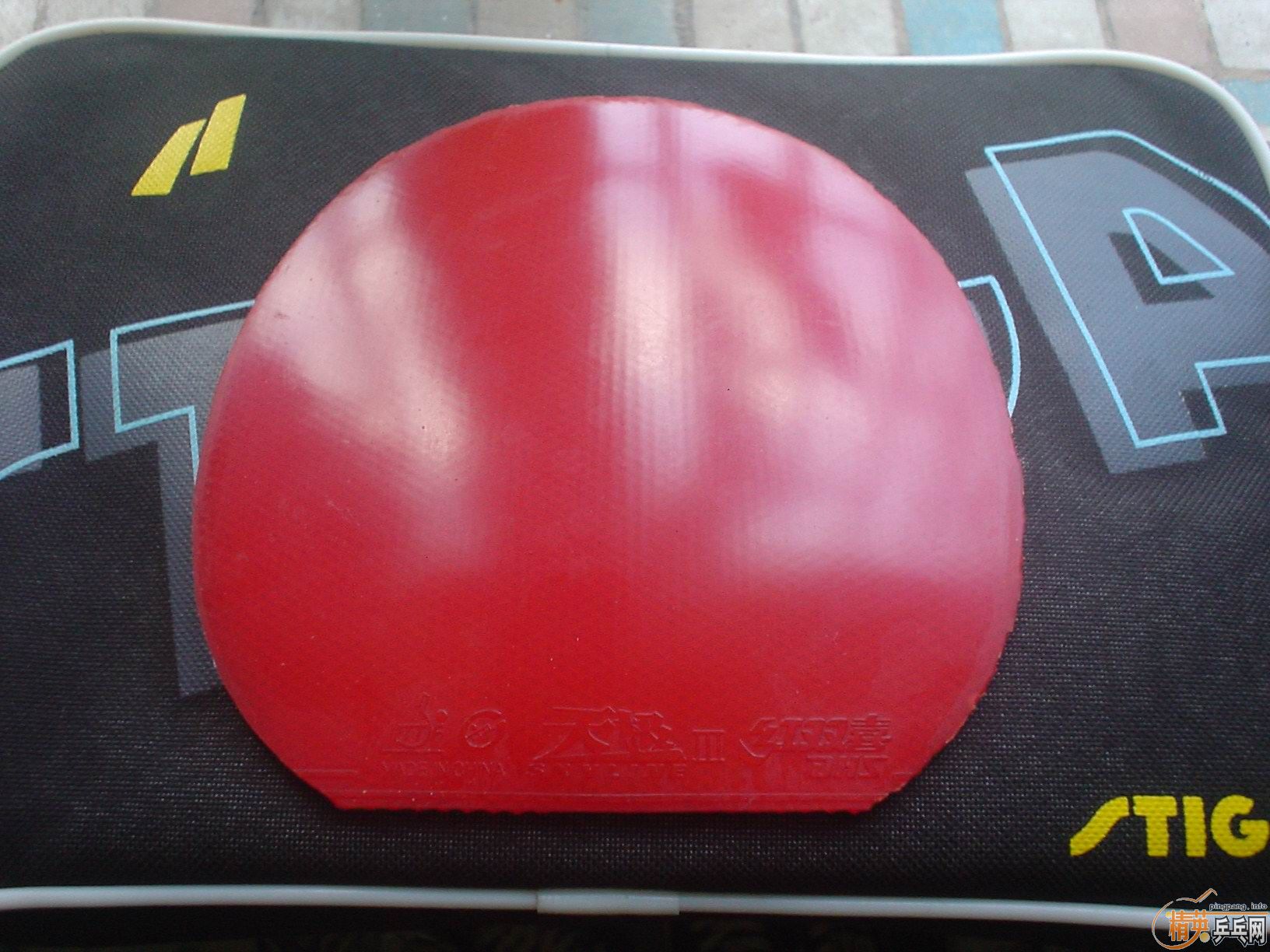 ��N���׽� ����9������SERVER