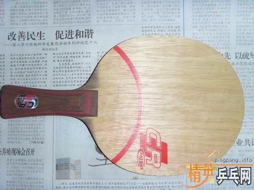 ���Ż�Ա 230���� ˦���� CL-CR-WRB һֻ