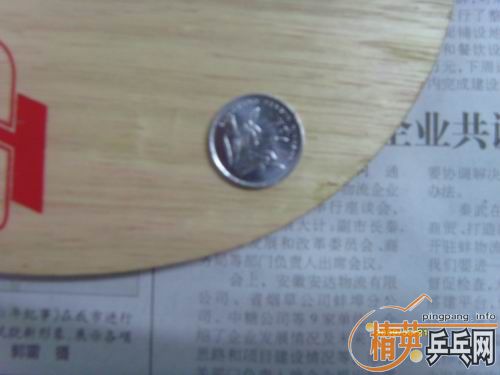 ���Ż�Ա 230���� ˦���� CL-CR-WRB һֻ