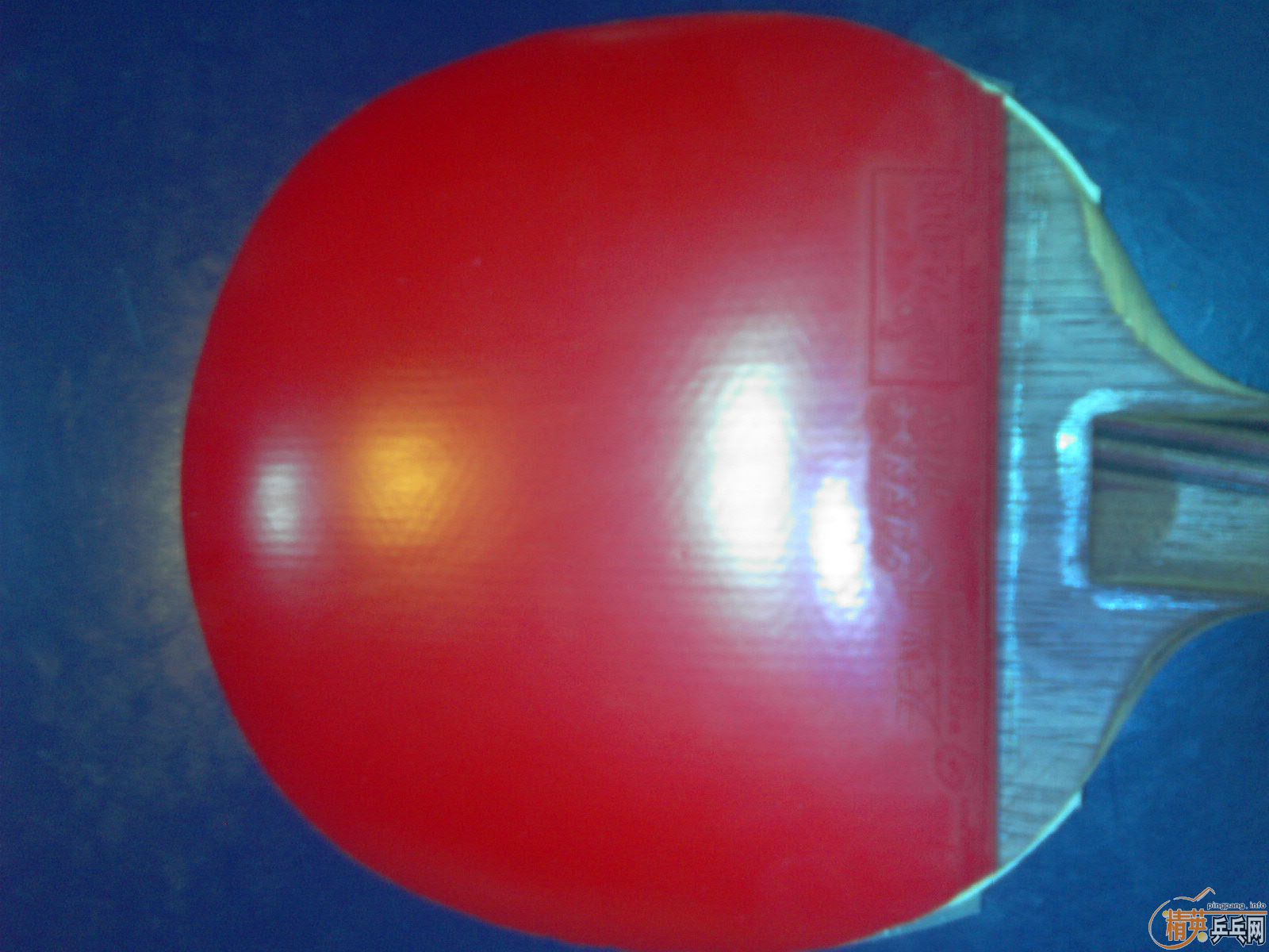 ����ȫ��T5.4ֱ�ģ����������3�����ִ�ˣ�350�����