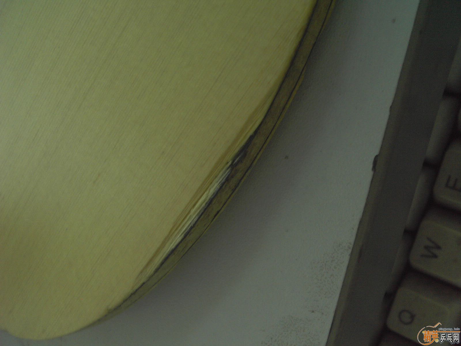 ������̼һֻ��320�����