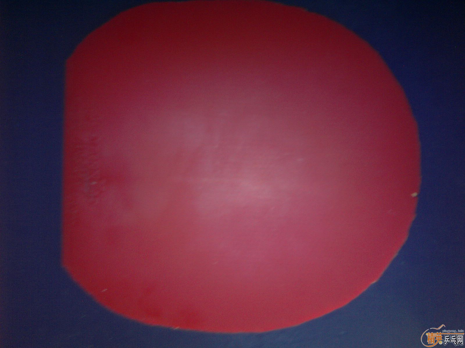 ����Ƥ����JO�ȣ�20-120����