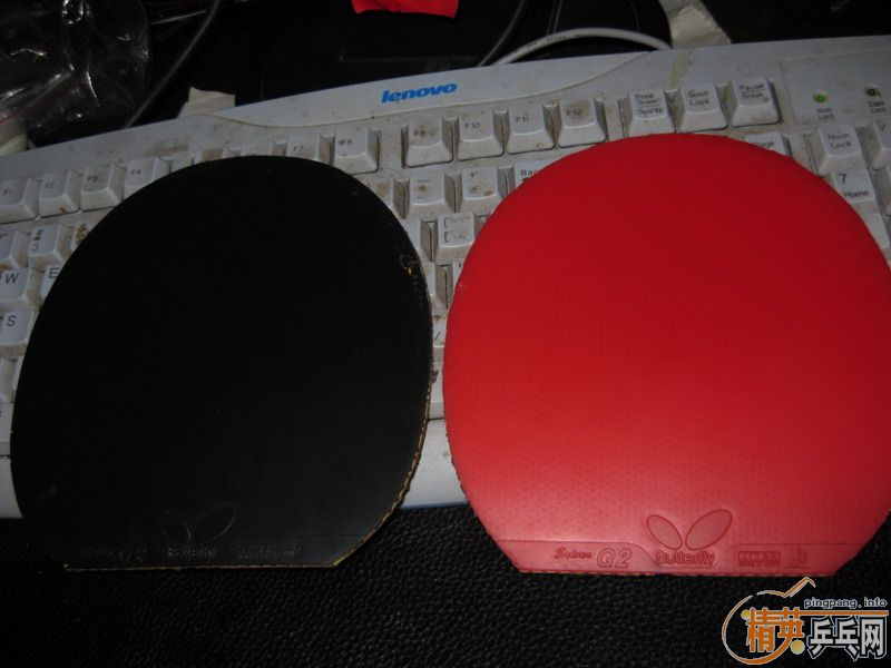 8.5�� ������ ��̼ ���������G2��450�����Ұﶥ��^_^��