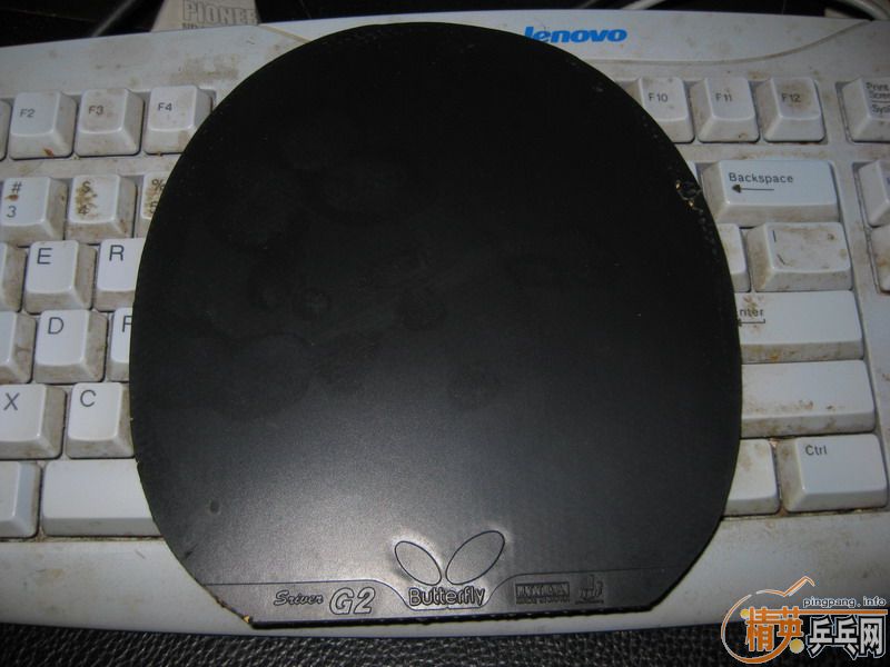 8.5�� ������ ��̼ ���������G2��450�����Ұﶥ��^_^��