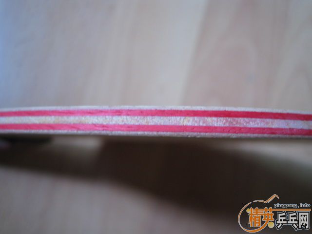 ���ѳ�STIGA CL CR ���׽� DONIC COPPA