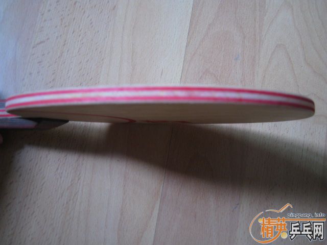 ���ѳ�STIGA CL CR ���׽� DONIC COPPA