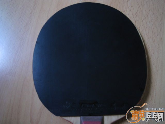 ���ѳ�STIGA CL CR ���׽� DONIC COPPA