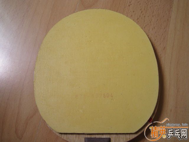 ���ѳ�STIGA CL CR ���׽� DONIC COPPA