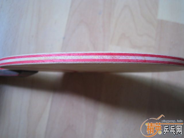 ���ѳ�STIGA CL CR ���׽� DONIC COPPA