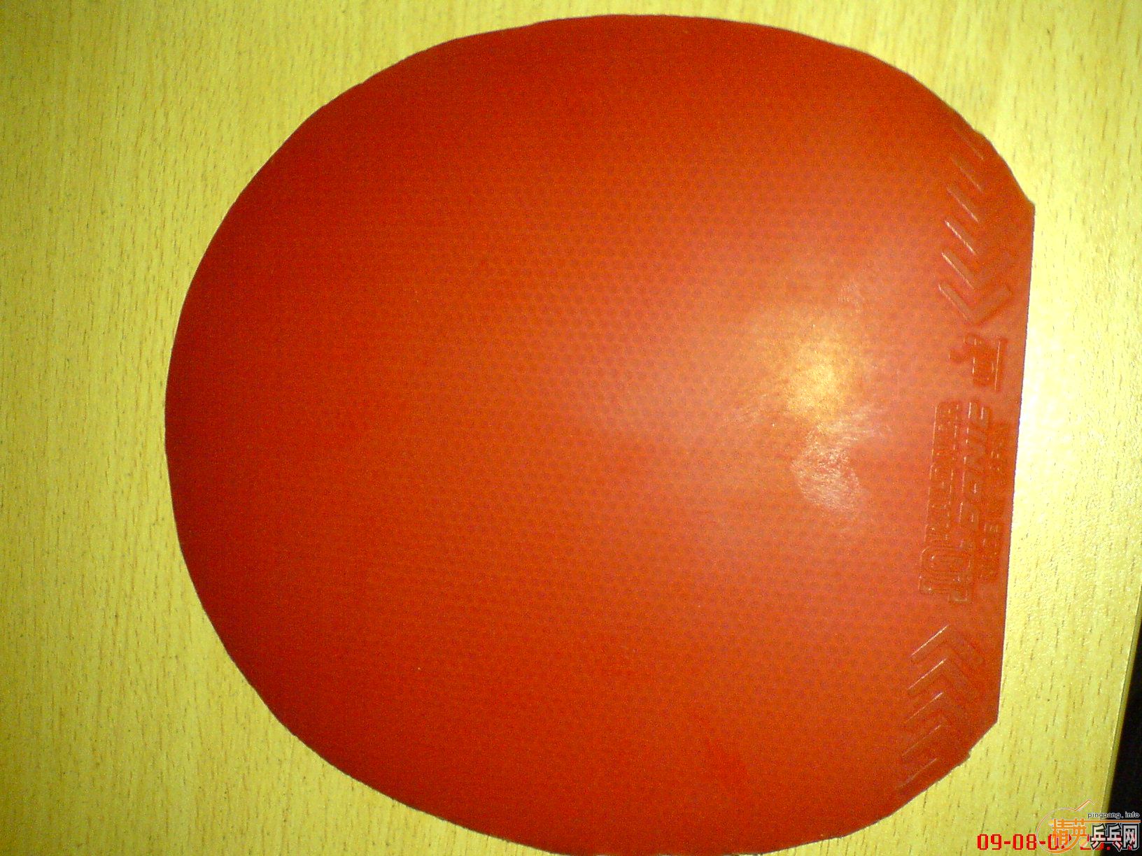 ��Ѫ˦�������ж�����