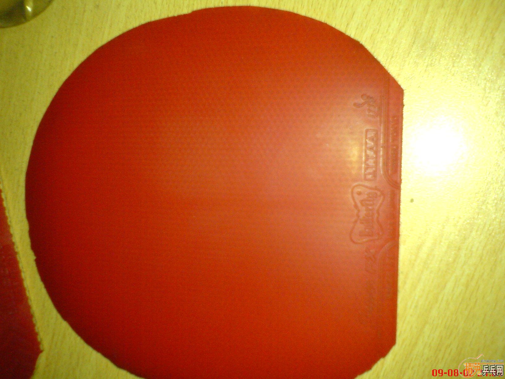 ��Ѫ˦�������ж�����