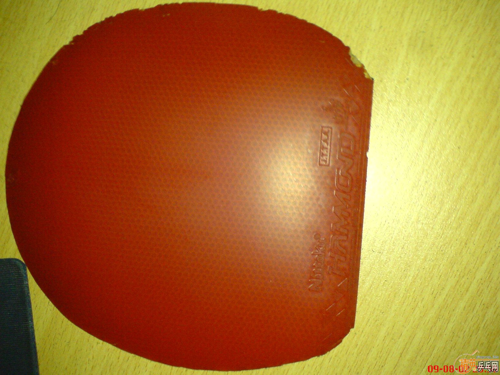 ��Ѫ˦�������ж�����