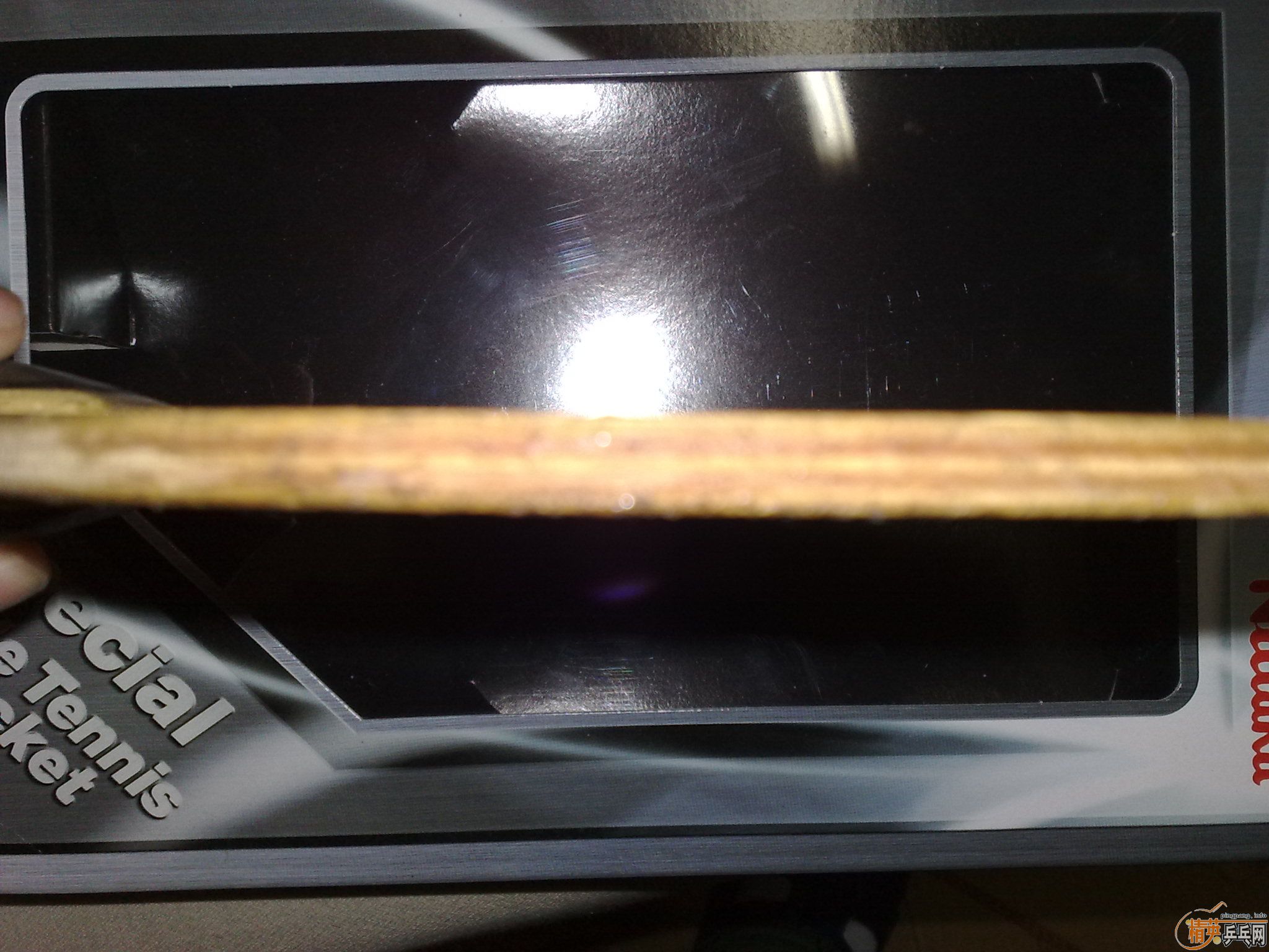 ֧С
