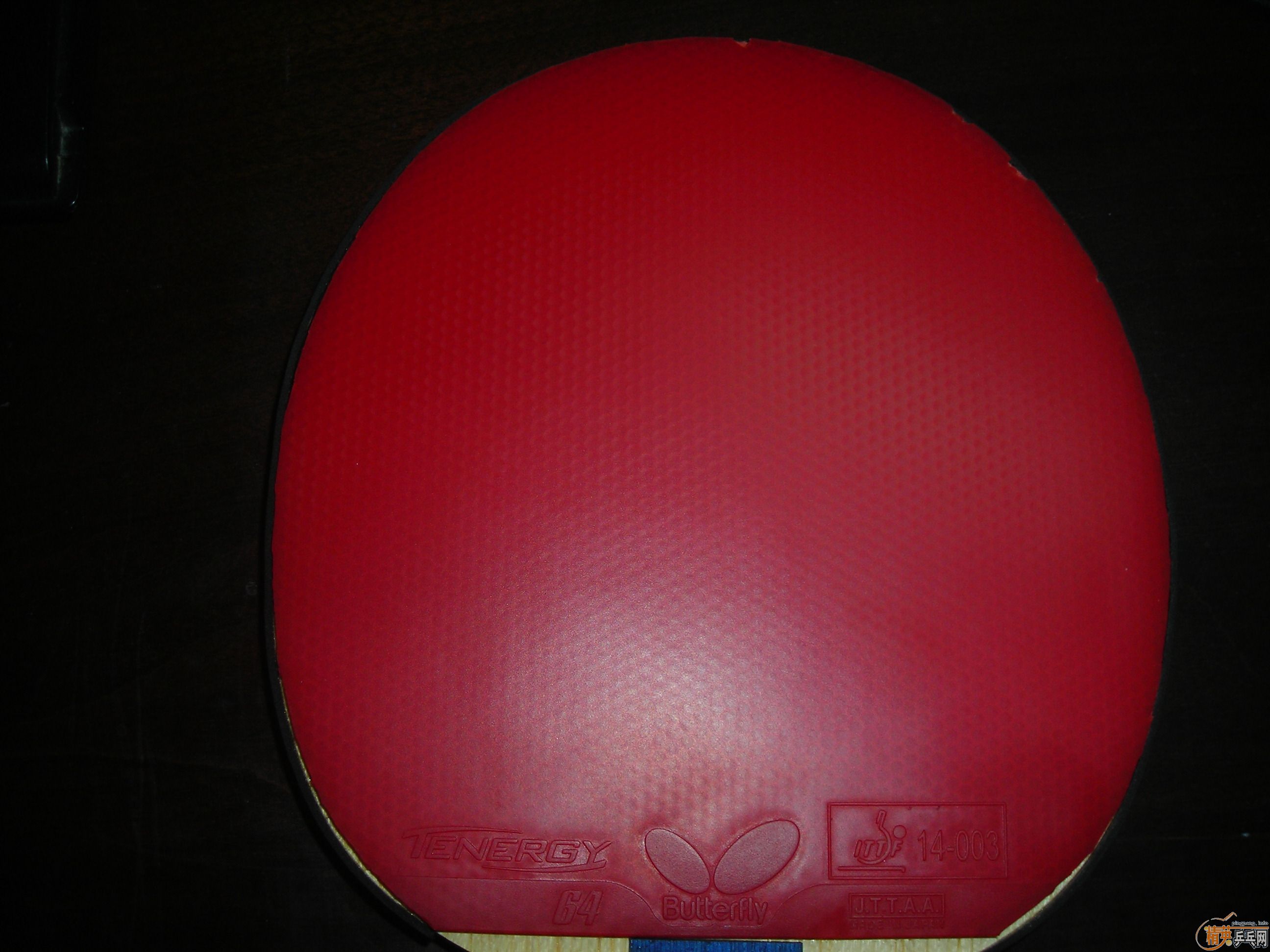 ��T64��NEO���3