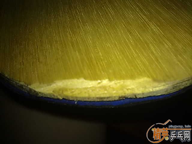 �������˳�TO+����100Ԫ,����FX,����,�տ�