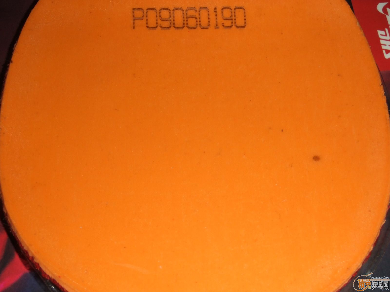 ������06ʡ��NEO��3�����bryce