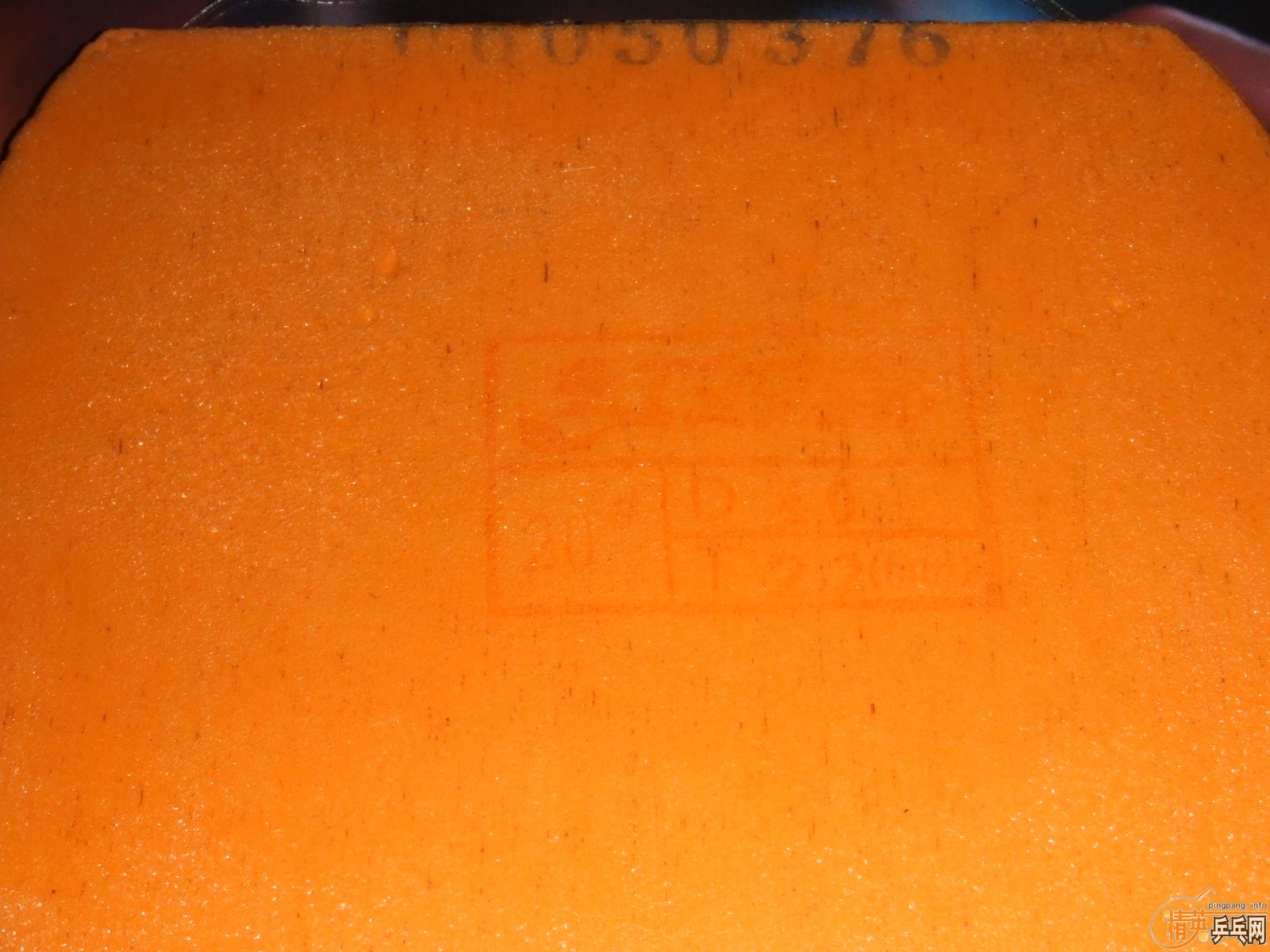 ������06ʡ��NEO��3�����bryce