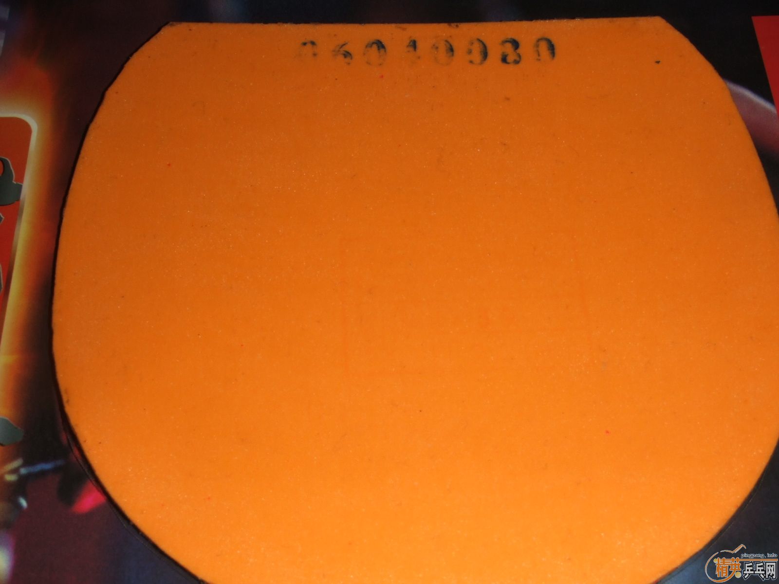 ������06ʡ��NEO��3�����bryce