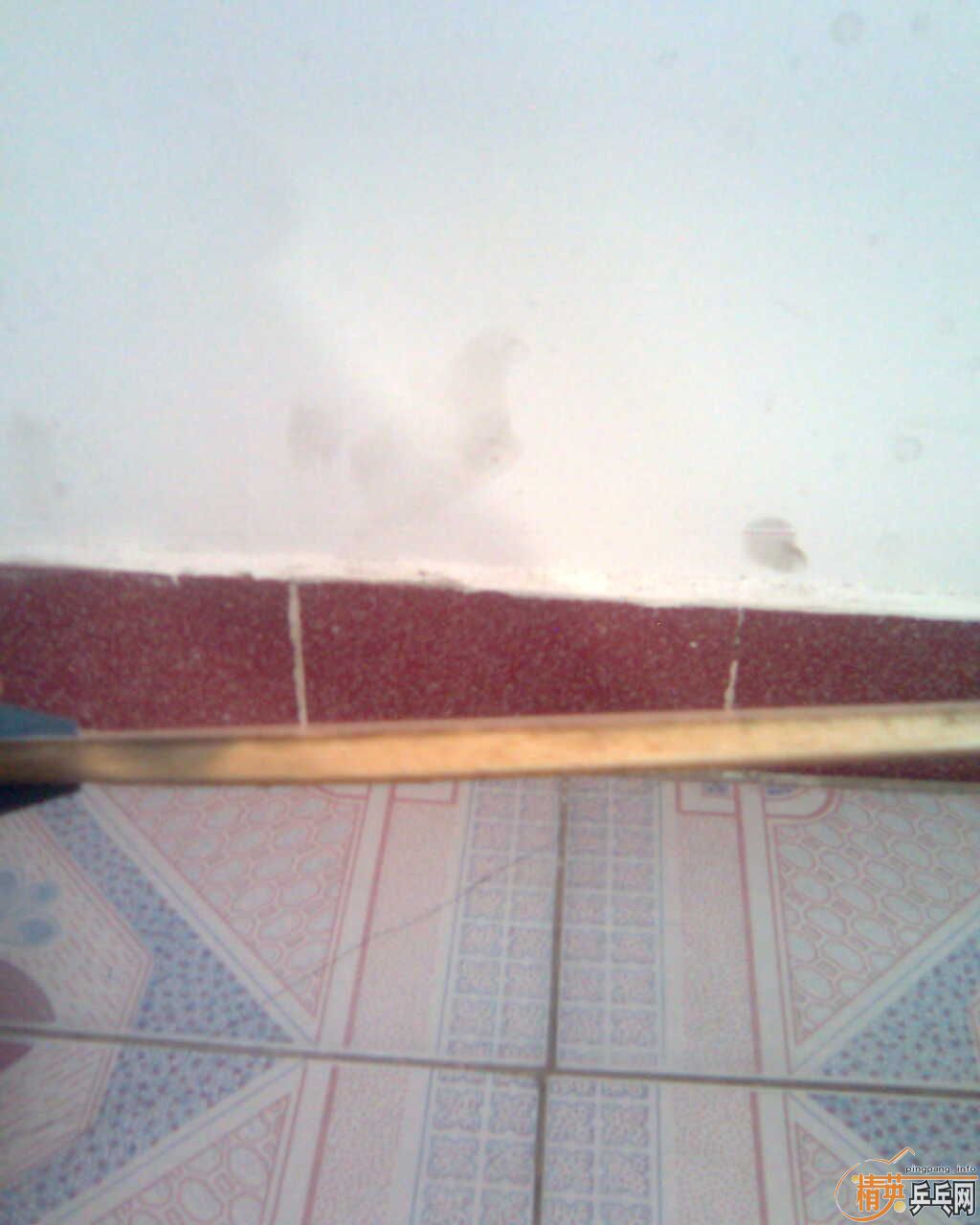 ���һ��230���ʳ�9��5����YE