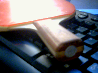 [ԭ��]���µ�������R5��350���ʣ�QQ9129091