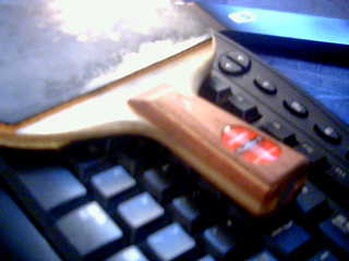 [ԭ��]���µ�������R5��350���ʣ�QQ9129091