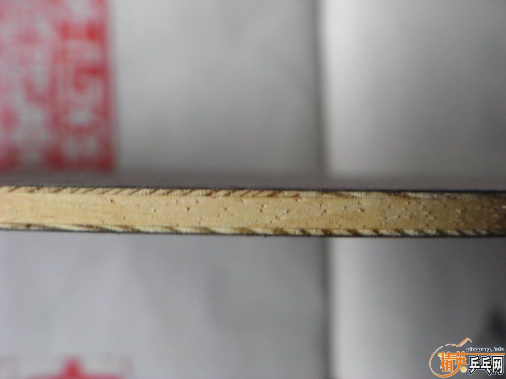 [����]�л�STIGA--OO��240���죡������