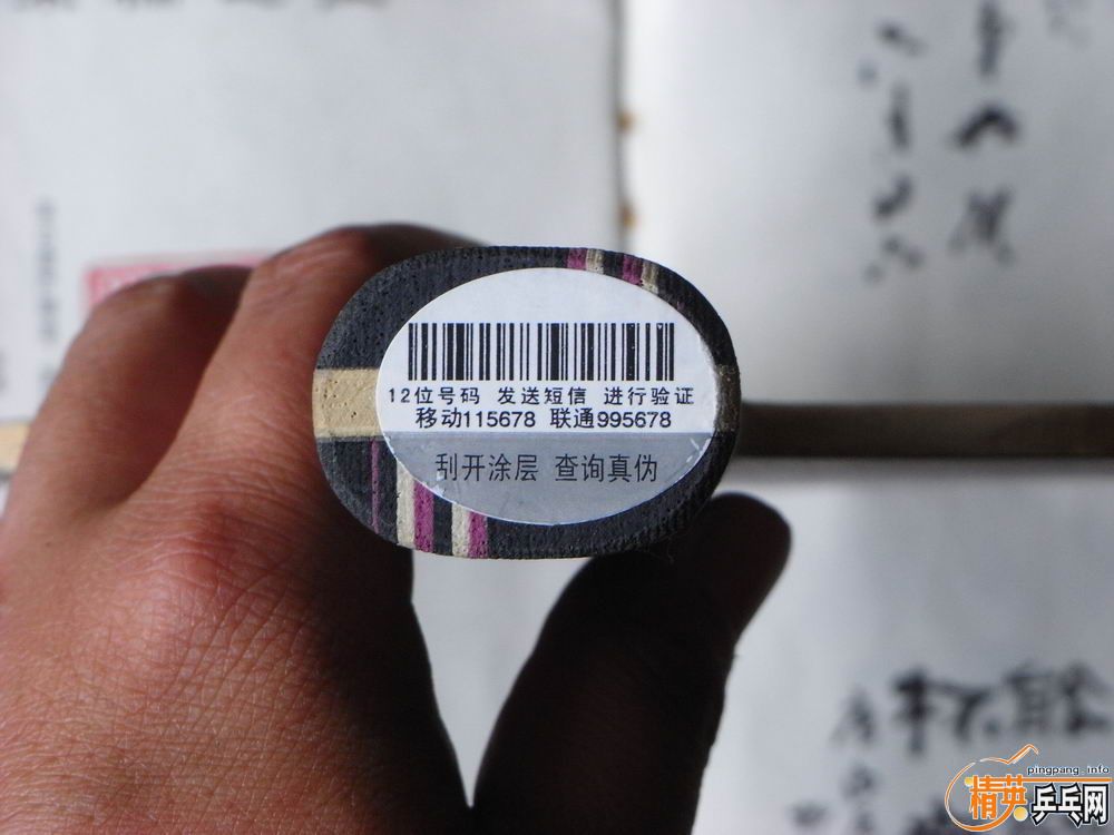 [����]�л�STIGA--OO��240���죡������