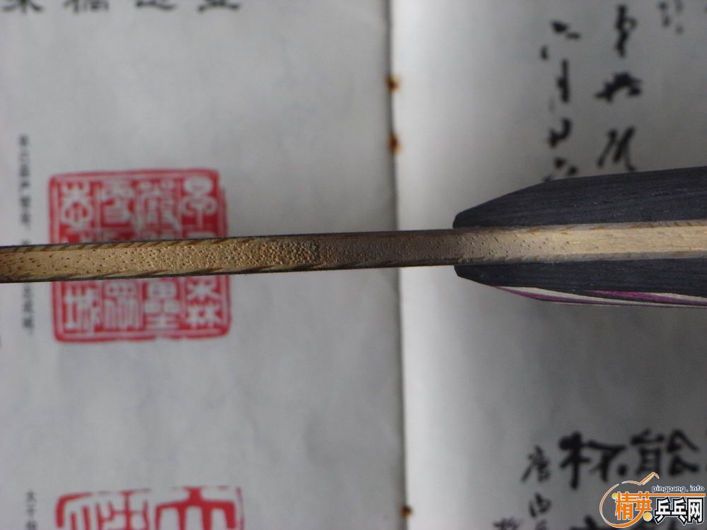 [����]�л�STIGA--OO��240���죡������