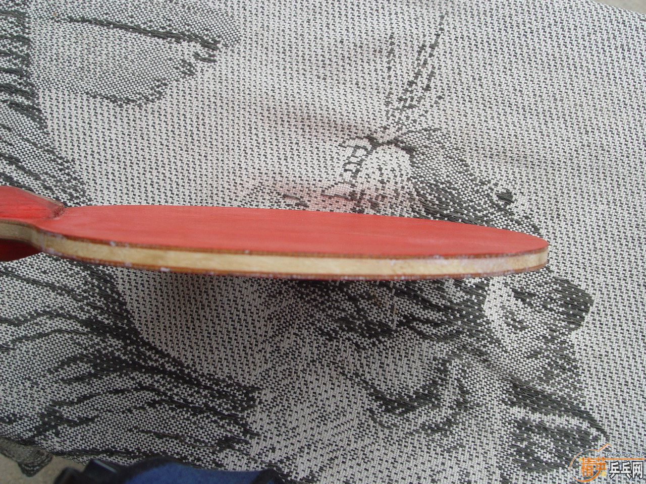 55Ԫ���ʳ����ӵĲ�����ά��