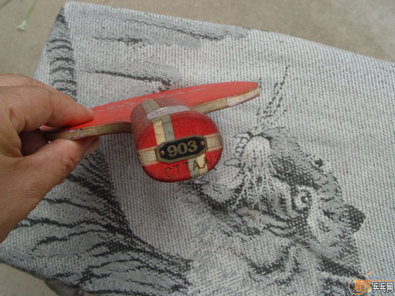 55Ԫ���ʳ����ӵĲ�����ά��