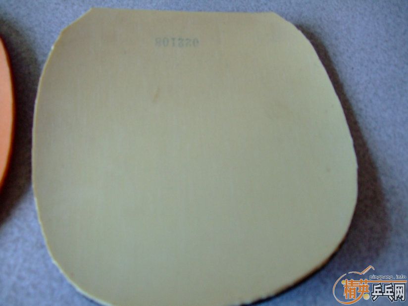 [ԭ��]��9.5���� ���̿��7.6 FL���ı�