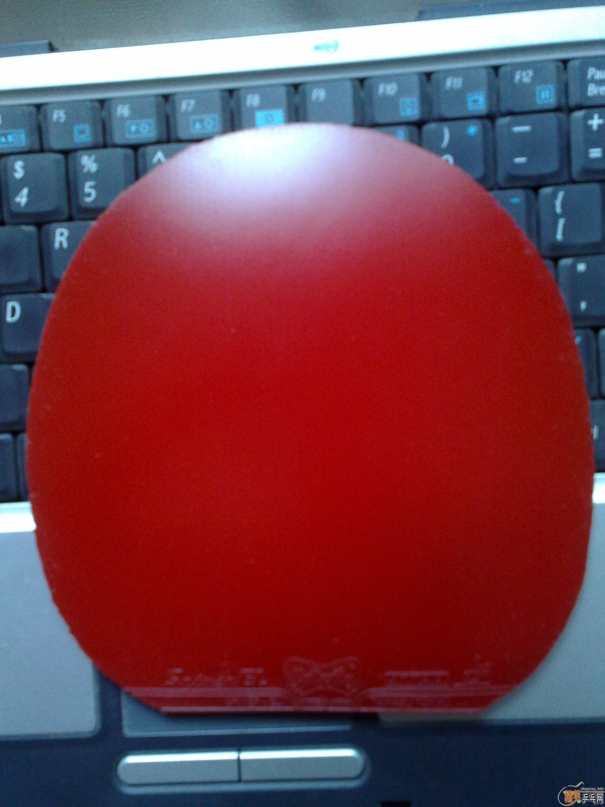 ��EL��Hammond����ɷ����V���׽�