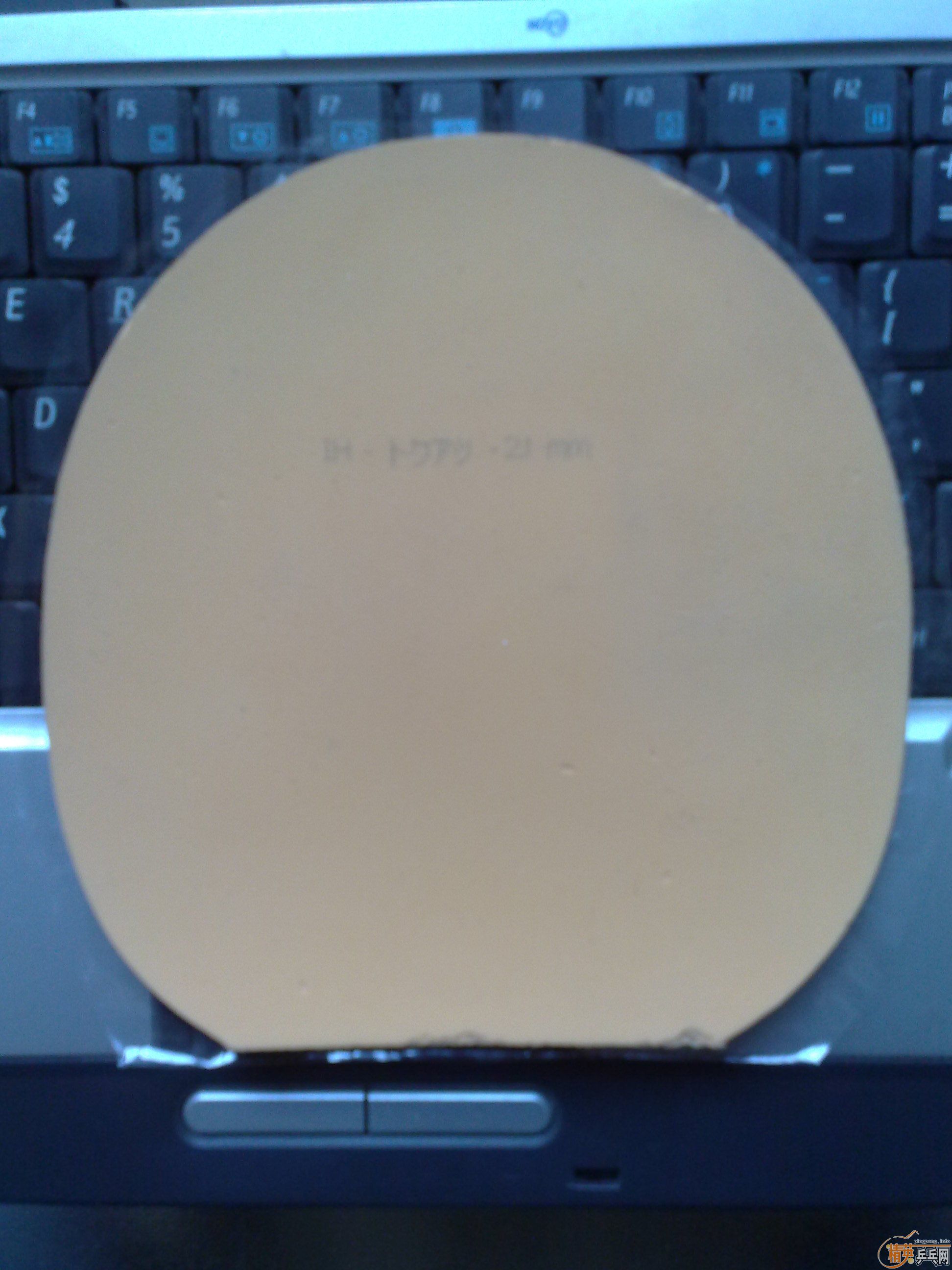 ��EL��Hammond����ɷ����V���׽�