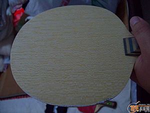 ��������VIS