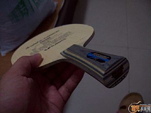 ��������VIS