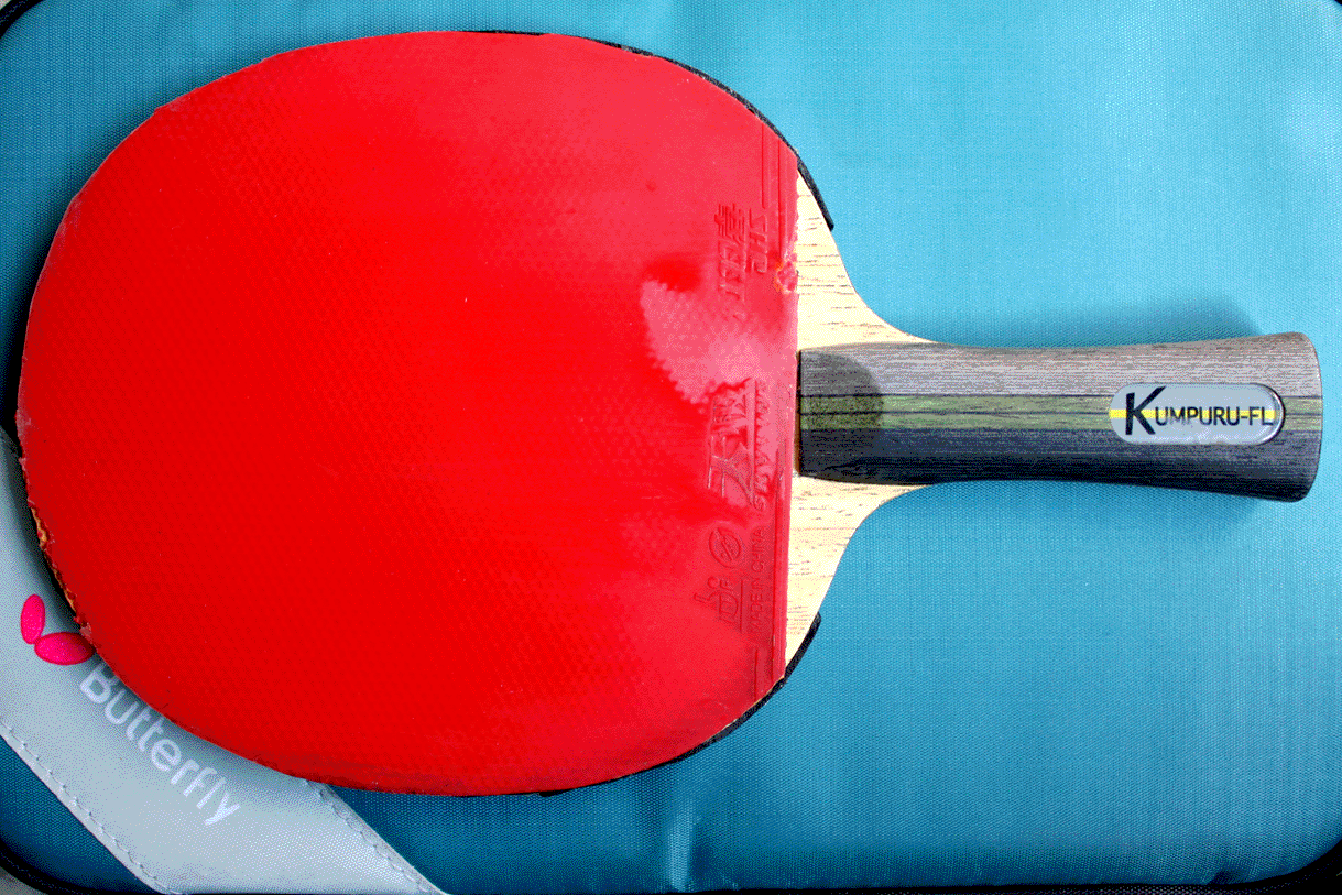 �ͼ۳�9.5���º�����������