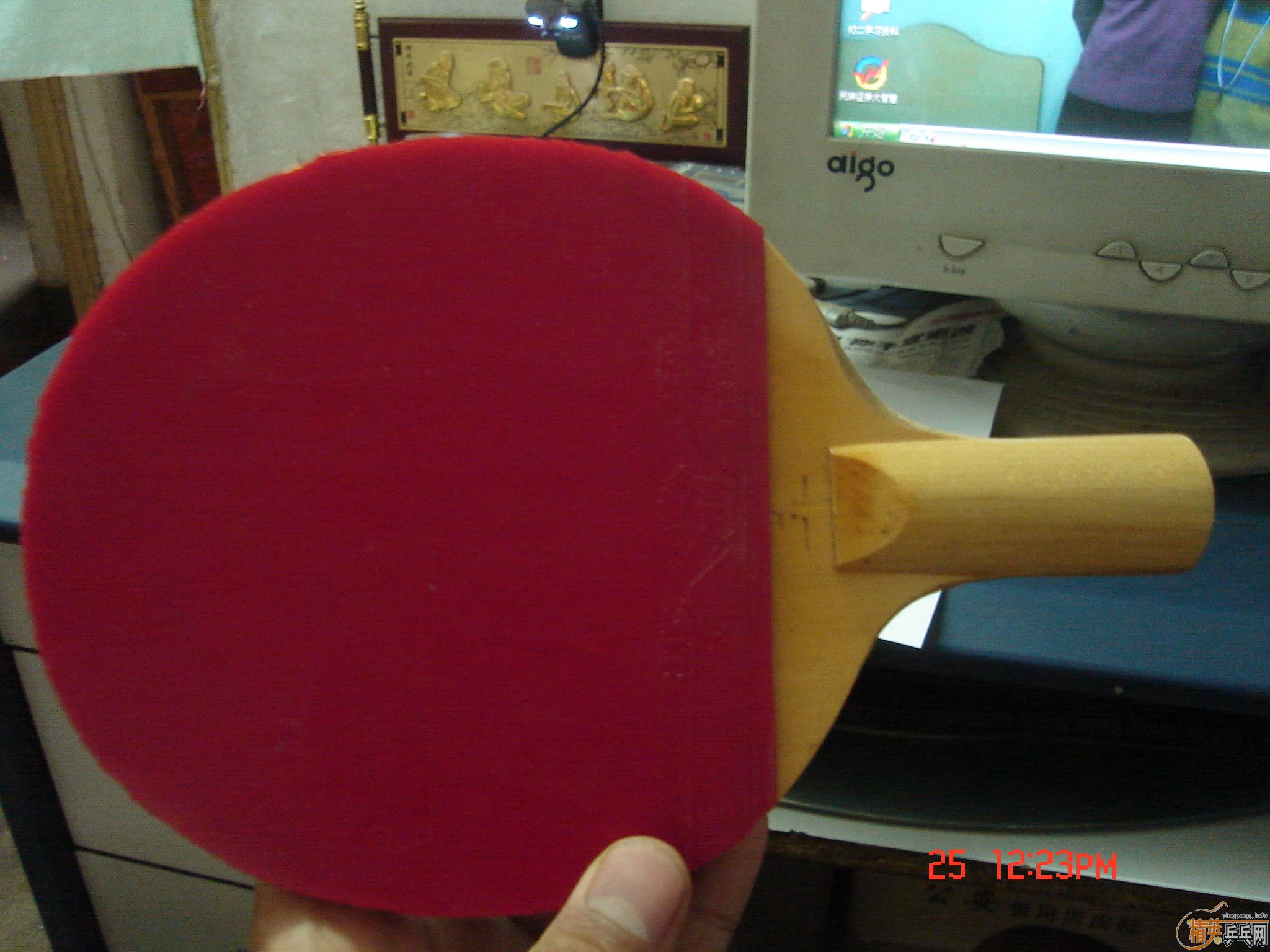 QUANXIN�϶��ƻ�һֻ����